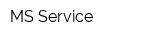 MS-Service