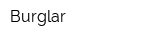 Burglar