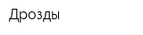 Дрозды