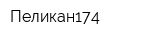 Пеликан174