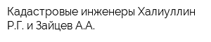 Кадастровые инженеры Халиуллин РГ и Зайцев АА