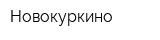 Новокуркино