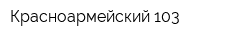 Красноармейский 103