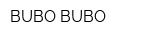 BUBO BUBO