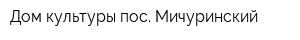 Дом культуры пос Мичуринский