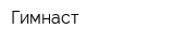 Гимнаст