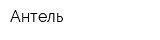 Антель