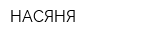 НАСЯНЯ