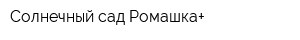 Солнечный сад Ромашка+