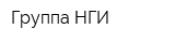Группа НГИ