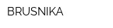 BRUSNIKA