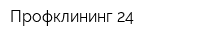 Профклининг 24