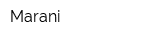 Marani