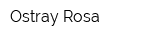Ostray Rosa
