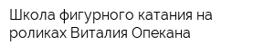 Школа фигурного катания на роликах Виталия Опекана