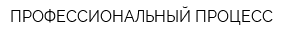 ПРОФЕССИОНАЛЬНЫЙ ПРОЦЕСС