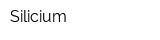 Silicium