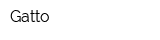 Gatto