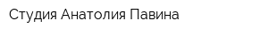 Студия Анатолия Павина