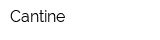 Cantine