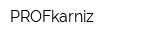 PROFkarniz