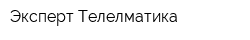 Эксперт Телелматика