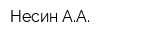 Несин АА