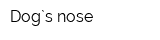 Dog`s nose