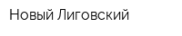 Новый Лиговский