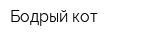Бодрый кот