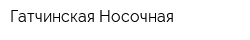 Гатчинская Носочная