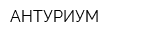 АНТУРИУМ