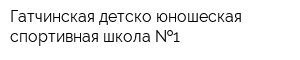 Гатчинская детско-юношеская спортивная школа  1