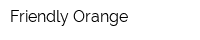Friendly Orange