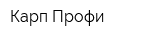 Карп-Профи