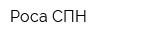 Роса-СПН