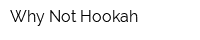 Why Not Hookah