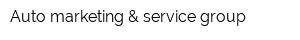 Auto marketing & service group