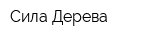 Сила Дерева