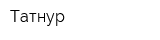 Татнур