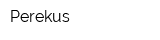 Perekus
