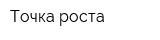 Точка роста