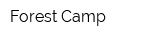 Forest Camp