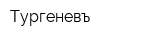 Тургеневъ