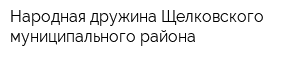 Народная дружина Щелковского муниципального района