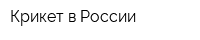 Крикет в России