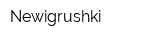 Newigrushki