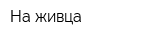 На живца