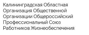 Калининградская Областная Организация Общественной Организации Общероссийский Профессиональный Союз Работников Жизнеобеспечения
