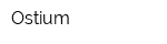 Ostium